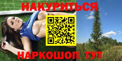 mdpv Заводоуковск