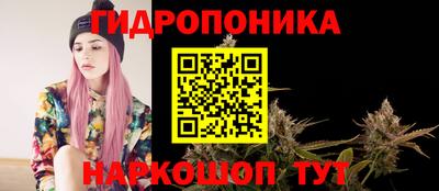 PSILOCYBIN Заволжье