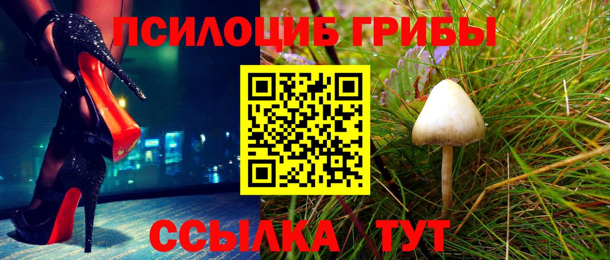 Псилоцибиновые грибы мицелий Лабинск