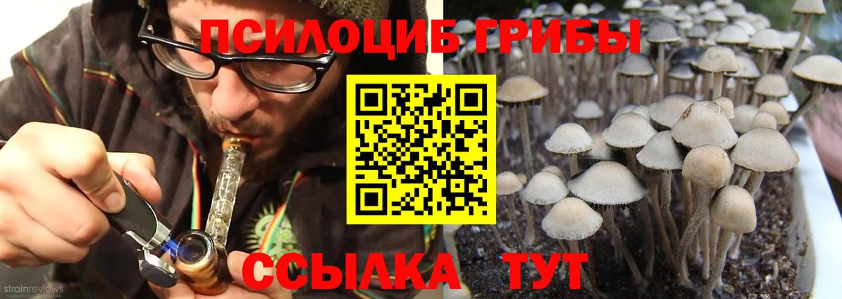 Лабинск  Галлюциногенные грибы Psilocybine cubensis  Вход с VPN 